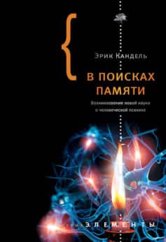 Читать онлайн «В поисках памяти: Возникновение новой науки о человеческой психике»